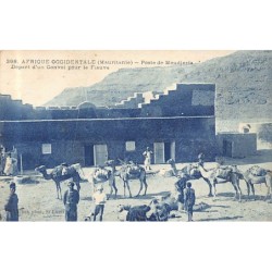 Rare collectable postcards of MAURITANIA. Vintage Postcards of MAURITANIA