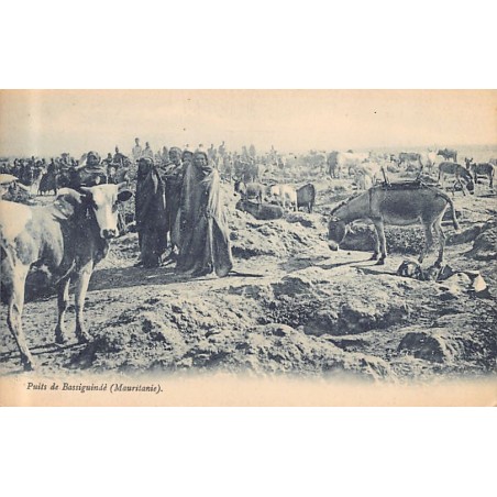 Rare collectable postcards of MAURITANIA. Vintage Postcards of MAURITANIA