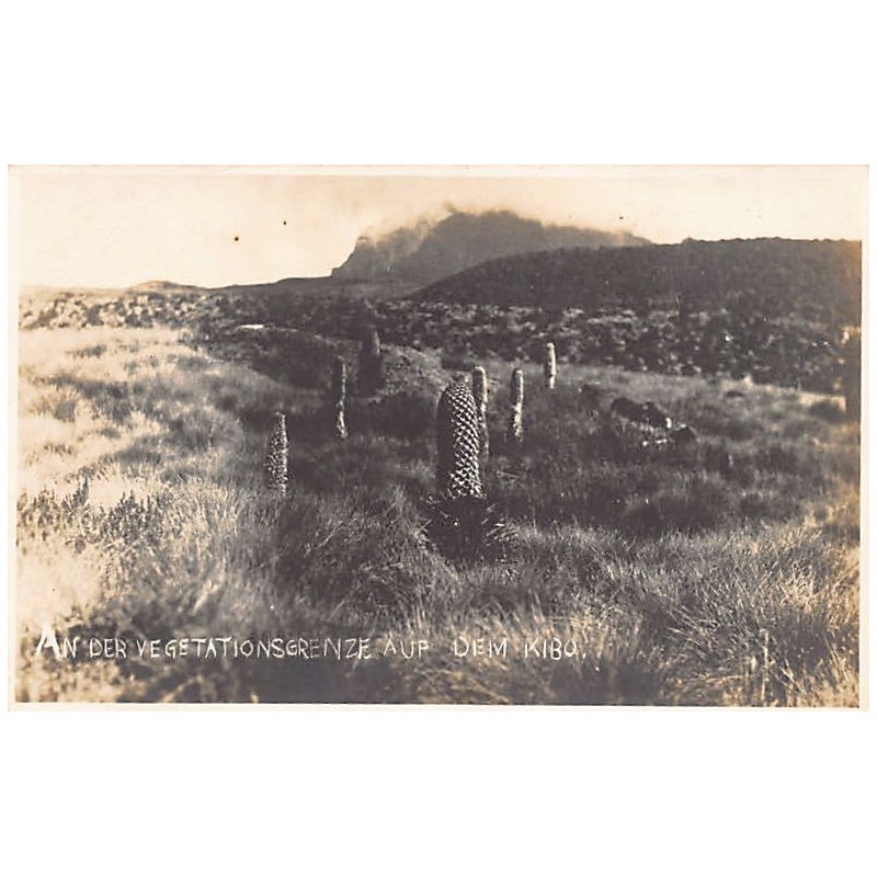 Rare collectable postcards of TANZANIA. Vintage Postcards of TANZANIA