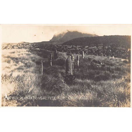 Rare collectable postcards of TANZANIA. Vintage Postcards of TANZANIA