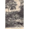 Rare collectable postcards of TANZANIA. Vintage Postcards of TANZANIA
