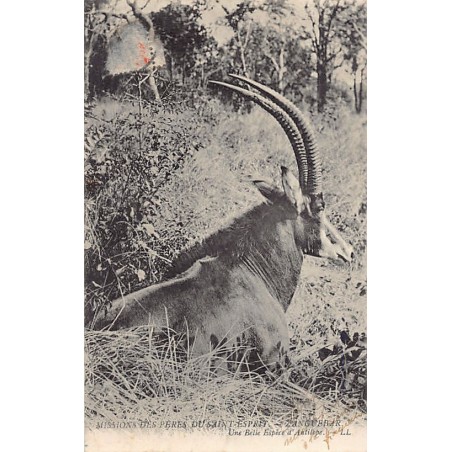 Rare collectable postcards of TANZANIA. Vintage Postcards of TANZANIA