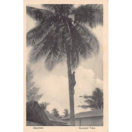 Rare collectable postcards of TANZANIA. Vintage Postcards of TANZANIA