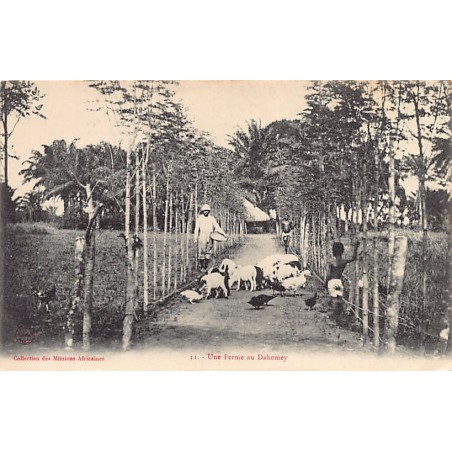 Rare collectable postcards of BENIN Dahomey. Vintage Postcards of BENIN Dahomey