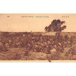 Rare collectable postcards of BURKINA FASO. Vintage Postcards of BURKINA FASO