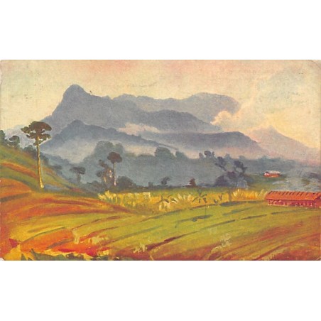 Rare collectable postcards of CAMEROON. Vintage Postcards of CAMEROON