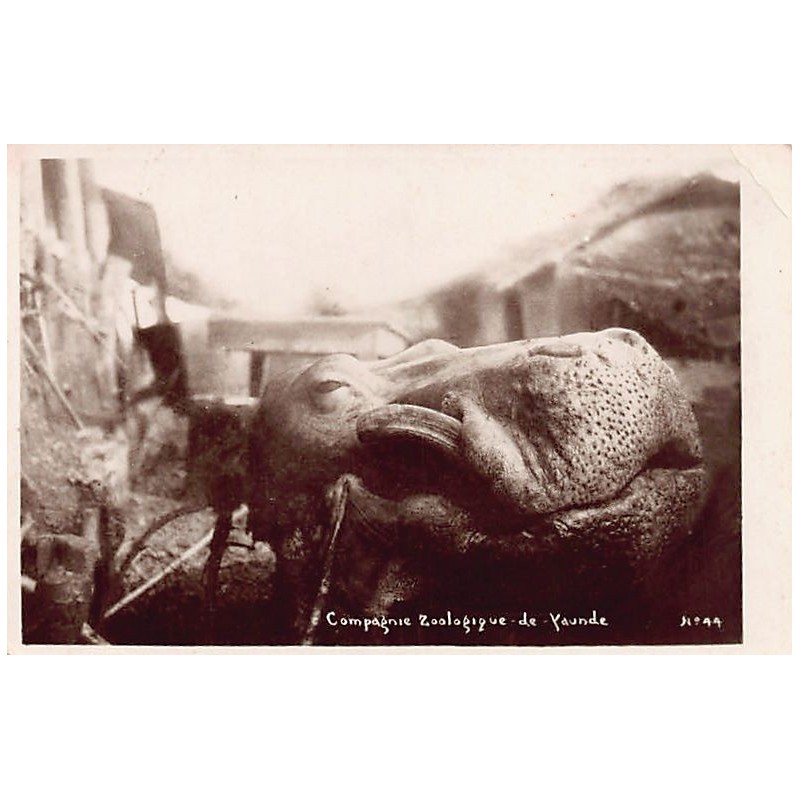 Rare collectable postcards of CAMEROON. Vintage Postcards of CAMEROON