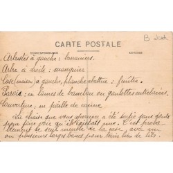 Martinique - La case du travailleur des champs - VOIR SCANS POUR L'ÉTAT - Ed. A. Benoit-Jeannette 395