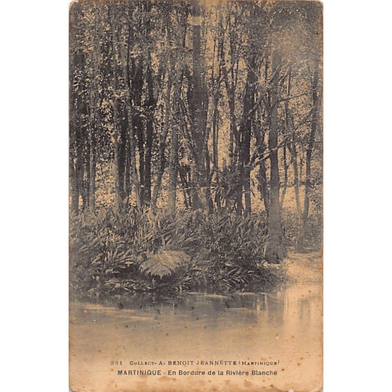 Rare collectable postcards of MARTINIQUE. Vintage Postcards of MARTINIQUE