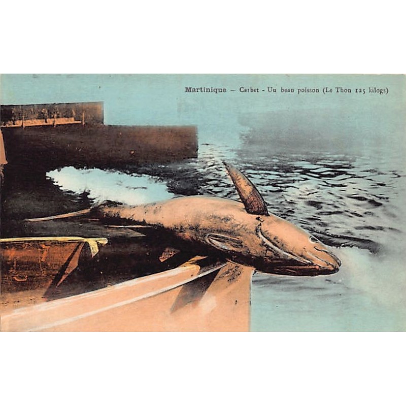 Rare collectable postcards of MARTINIQUE. Vintage Postcards of MARTINIQUE