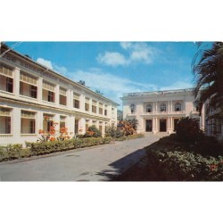 Rare collectable postcards of MARTINIQUE. Vintage Postcards of MARTINIQUE