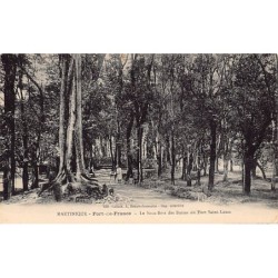 Rare collectable postcards of MARTINIQUE. Vintage Postcards of MARTINIQUE