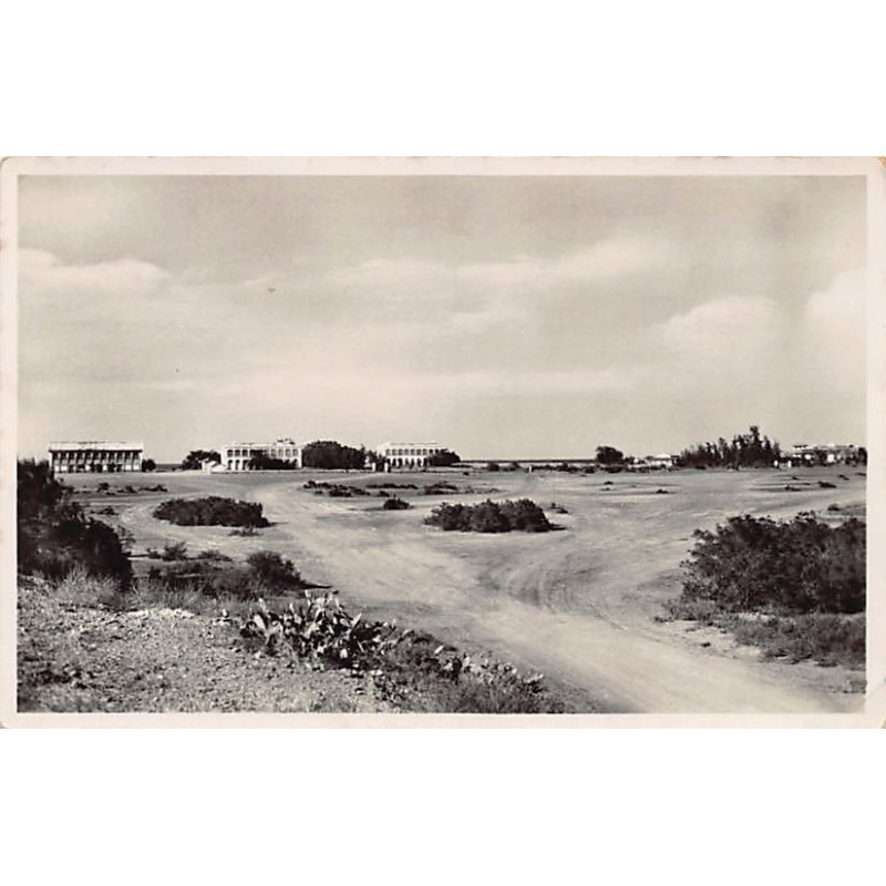 Rare collectable postcards of DJIBOUTI. Vintage Postcards of DJIBOUTI