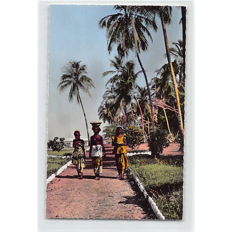 Rare collectable postcards of GUINEA CONAKRY. Vintage Postcards of GUINEA CONAKRY