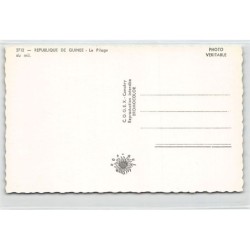 Rare collectable postcards of GUINEA CONAKRY. Vintage Postcards of GUINEA CONAKRY