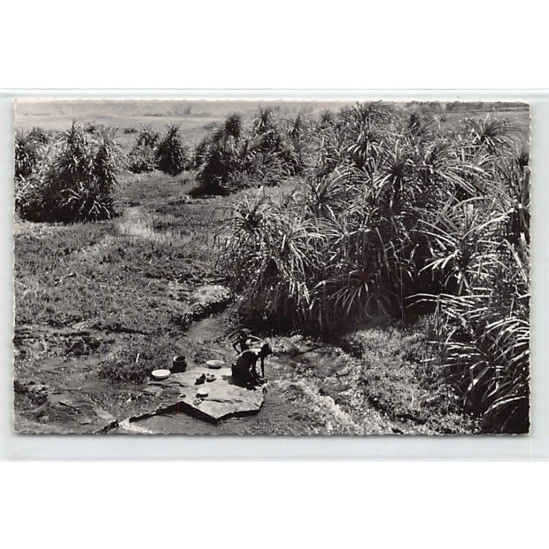 Rare collectable postcards of GUINEA CONAKRY. Vintage Postcards of GUINEA CONAKRY