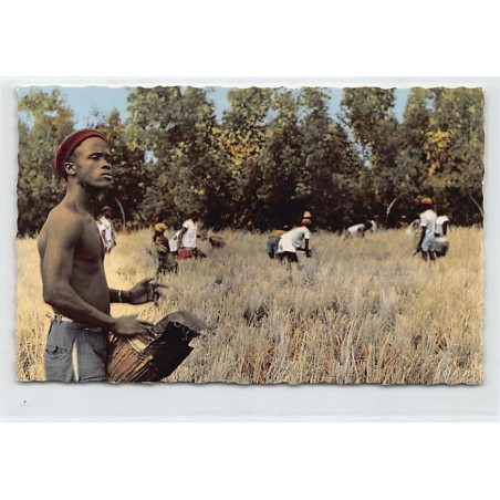 Rare collectable postcards of GUINEA CONAKRY. Vintage Postcards of GUINEA CONAKRY