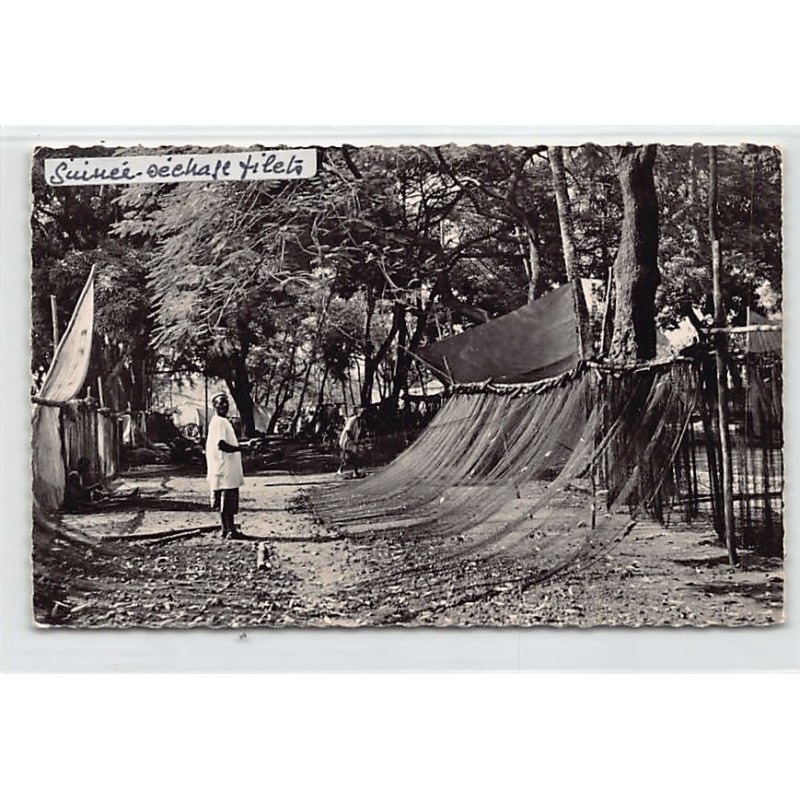 Rare collectable postcards of GUINEA CONAKRY. Vintage Postcards of GUINEA CONAKRY