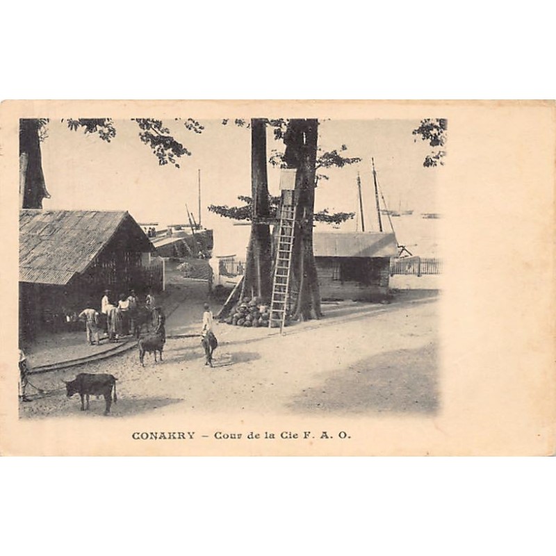 Rare collectable postcards of GUINEA CONAKRY. Vintage Postcards of GUINEA CONAKRY