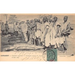 Rare collectable postcards of GUINEA CONAKRY. Vintage Postcards of GUINEA CONAKRY