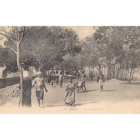 Rare collectable postcards of SENEGAL. Vintage Postcards of SENEGAL