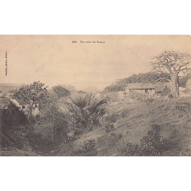 Rare collectable postcards of SENEGAL. Vintage Postcards of SENEGAL