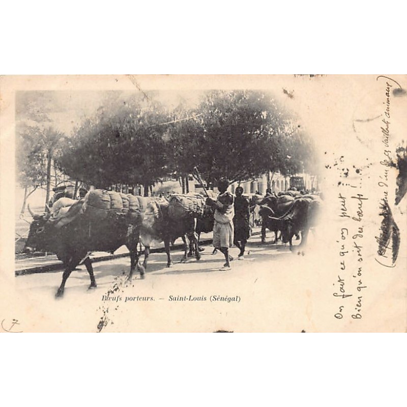 Rare collectable postcards of SENEGAL. Vintage Postcards of SENEGAL