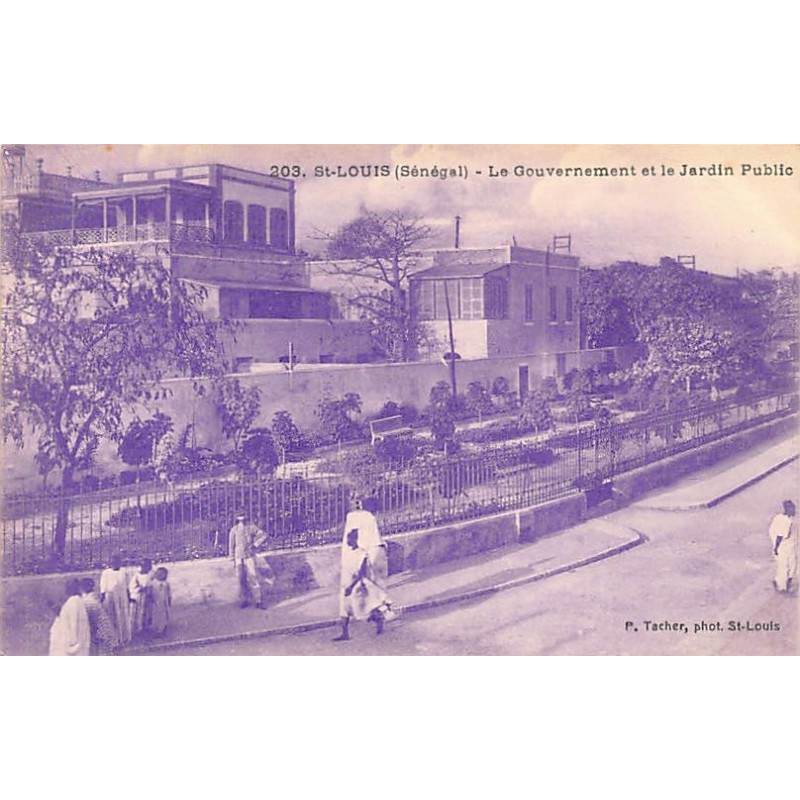 Rare collectable postcards of SENEGAL. Vintage Postcards of SENEGAL