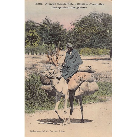 Rare collectable postcards of SENEGAL. Vintage Postcards of SENEGAL