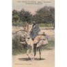 Rare collectable postcards of SENEGAL. Vintage Postcards of SENEGAL