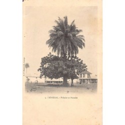 Rare collectable postcards of SENEGAL. Vintage Postcards of SENEGAL