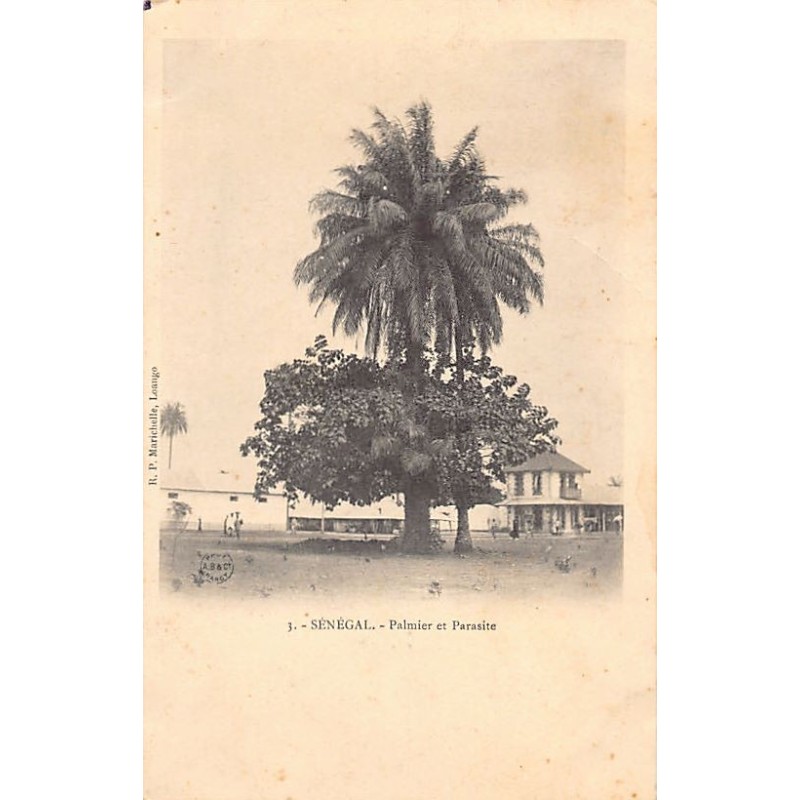 Rare collectable postcards of SENEGAL. Vintage Postcards of SENEGAL