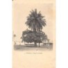 Rare collectable postcards of SENEGAL. Vintage Postcards of SENEGAL