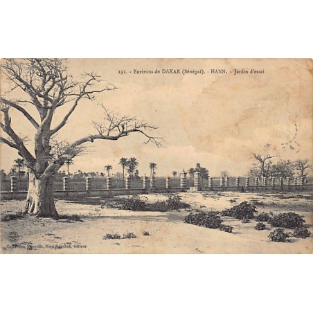 Rare collectable postcards of SENEGAL. Vintage Postcards of SENEGAL