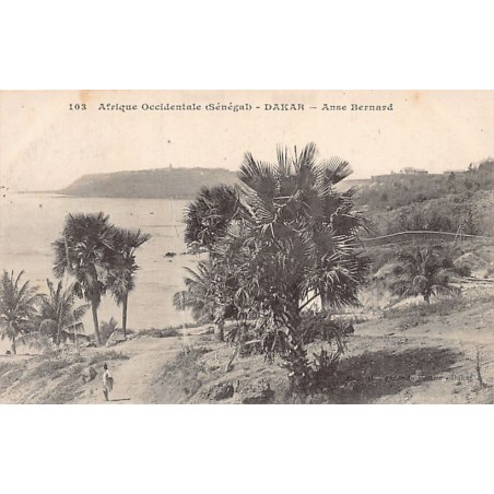 Rare collectable postcards of SENEGAL. Vintage Postcards of SENEGAL