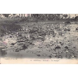 Rare collectable postcards of SENEGAL. Vintage Postcards of SENEGAL