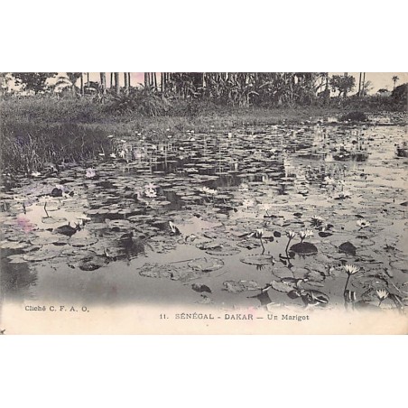 Rare collectable postcards of SENEGAL. Vintage Postcards of SENEGAL