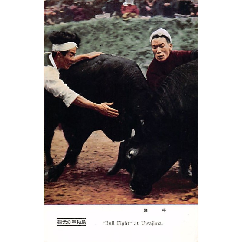 Rare collectable postcards of JAPAN. Vintage Postcards of JAPAN