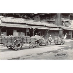 Rare collectable postcards of JAPAN. Vintage Postcards of JAPAN