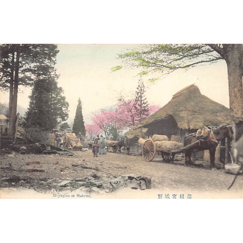 Rare collectable postcards of JAPAN. Vintage Postcards of JAPAN