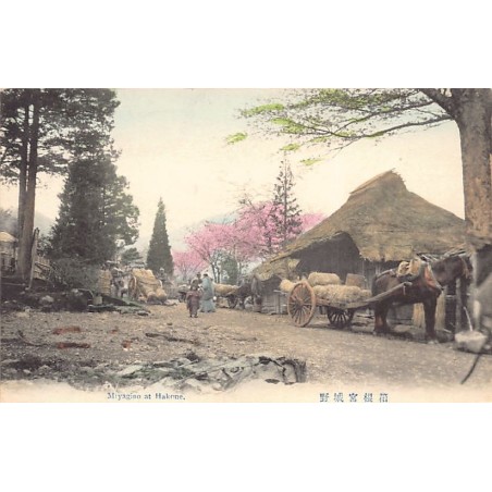 Rare collectable postcards of JAPAN. Vintage Postcards of JAPAN