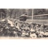 Rare collectable postcards of JAPAN. Vintage Postcards of JAPAN