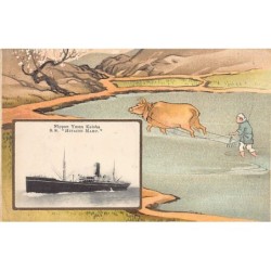 Rare collectable postcards of JAPAN. Vintage Postcards of JAPAN