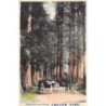 Rare collectable postcards of JAPAN. Vintage Postcards of JAPAN
