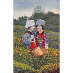 Rare collectable postcards of JAPAN. Vintage Postcards of JAPAN
