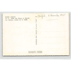 Rare collectable postcards of ALGERIA. Vintage Postcards of ALGERIA