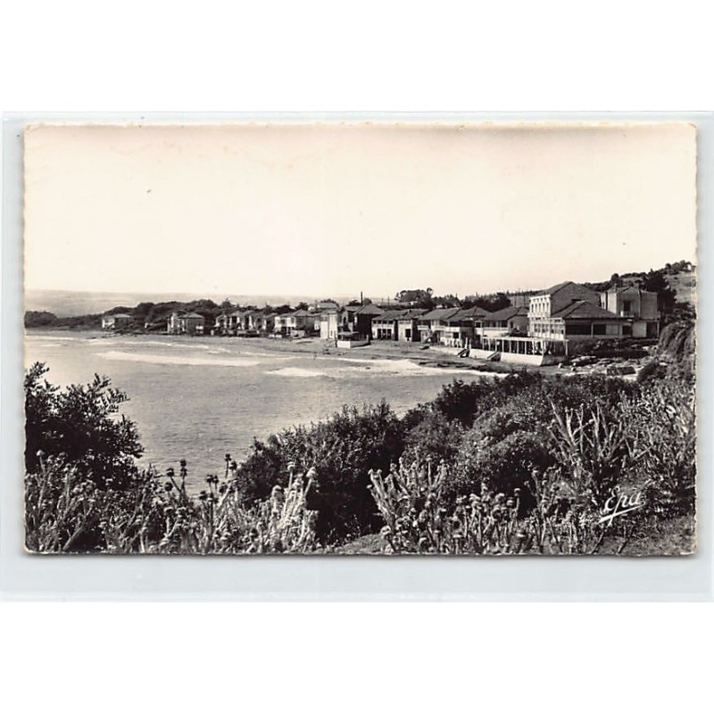 Rare collectable postcards of ALGERIA. Vintage Postcards of ALGERIA