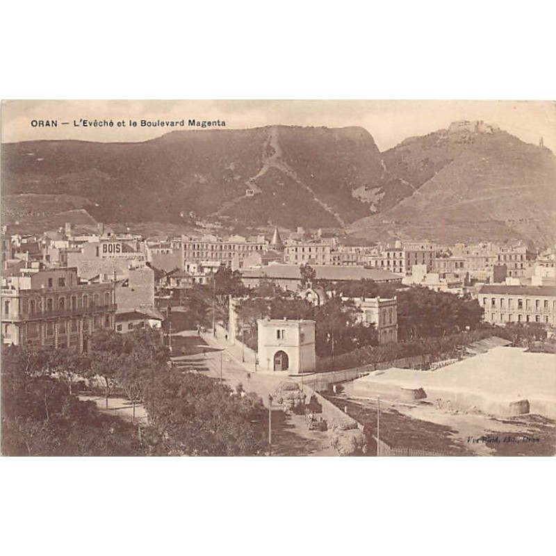 Rare collectable postcards of ALGERIA. Vintage Postcards of ALGERIA