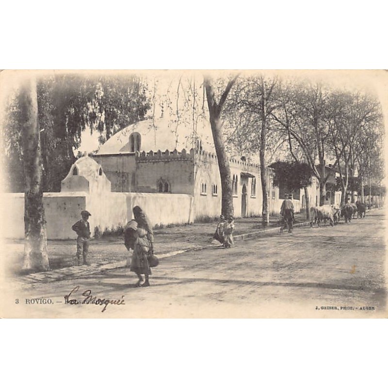 Rare collectable postcards of ALGERIA. Vintage Postcards of ALGERIA