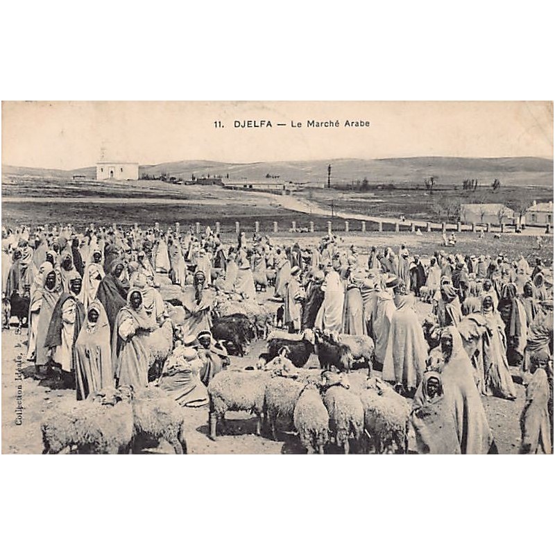 Rare collectable postcards of ALGERIA. Vintage Postcards of ALGERIA